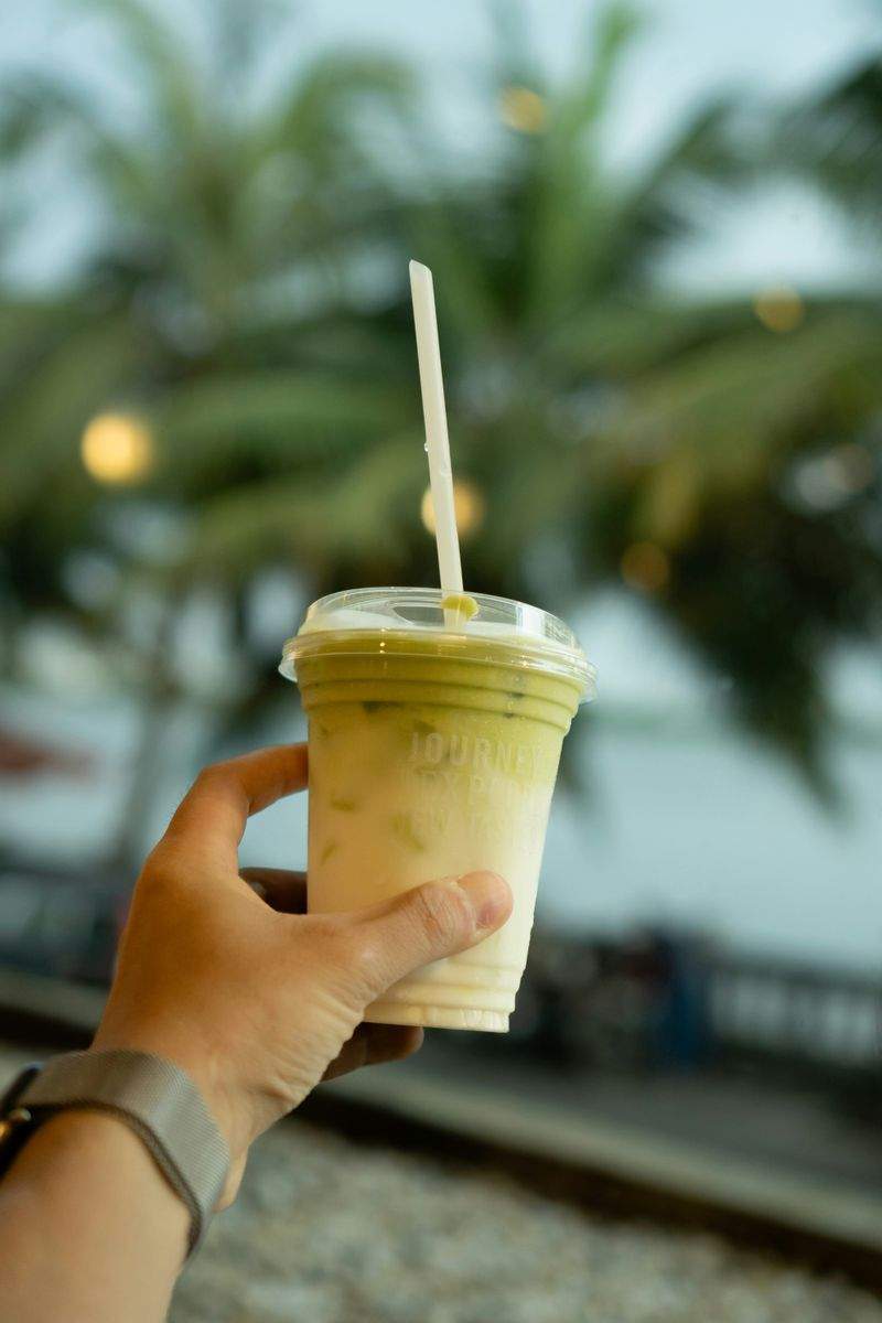 FrischeWelle Smoothie Bar 14